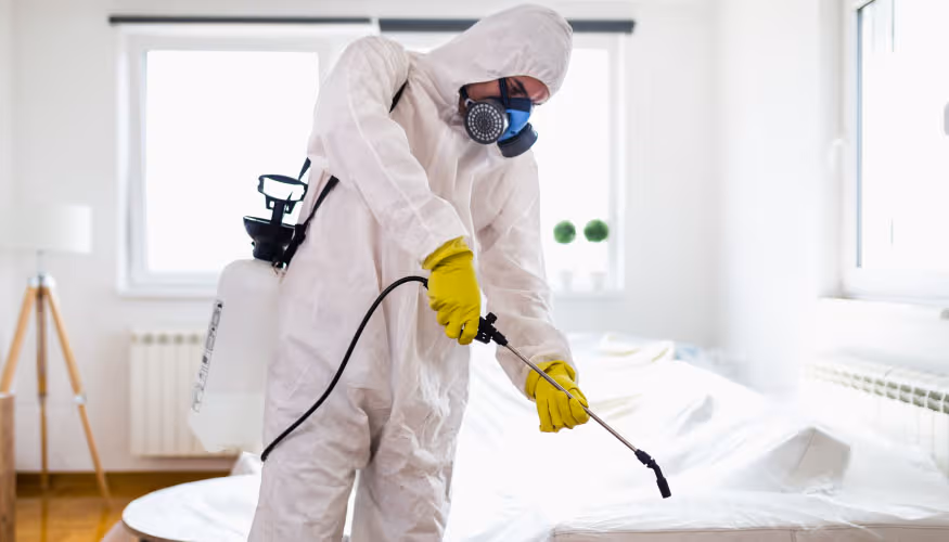 شركة مكافحة الحشرات