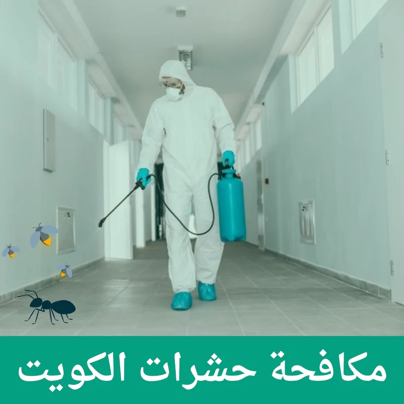  شركة رش حشرات الكويت